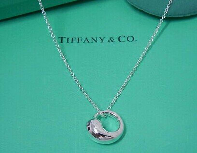 Tiffany&Co Necklaces 34